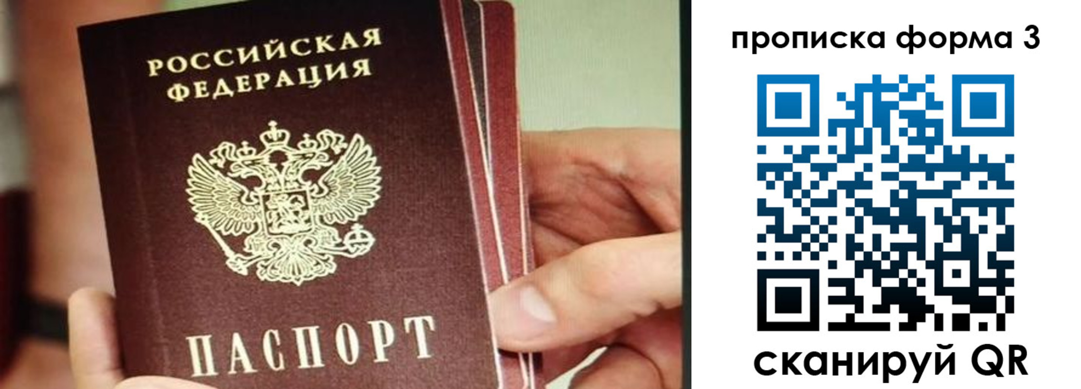 прописка законно в Называевске